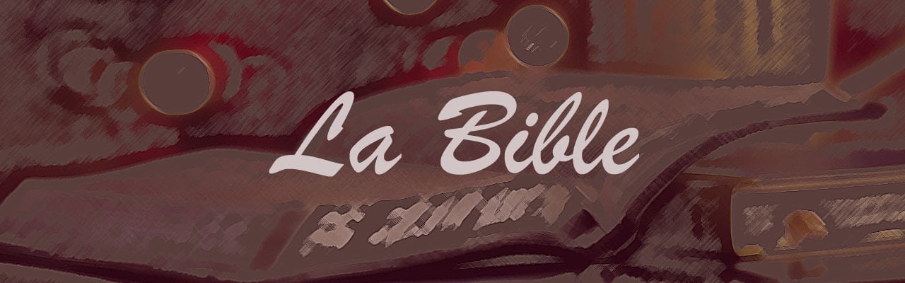 bible-comment étudier la Bible?