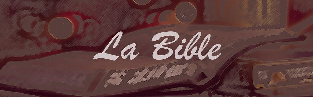 bible-comment étudier la Bible?